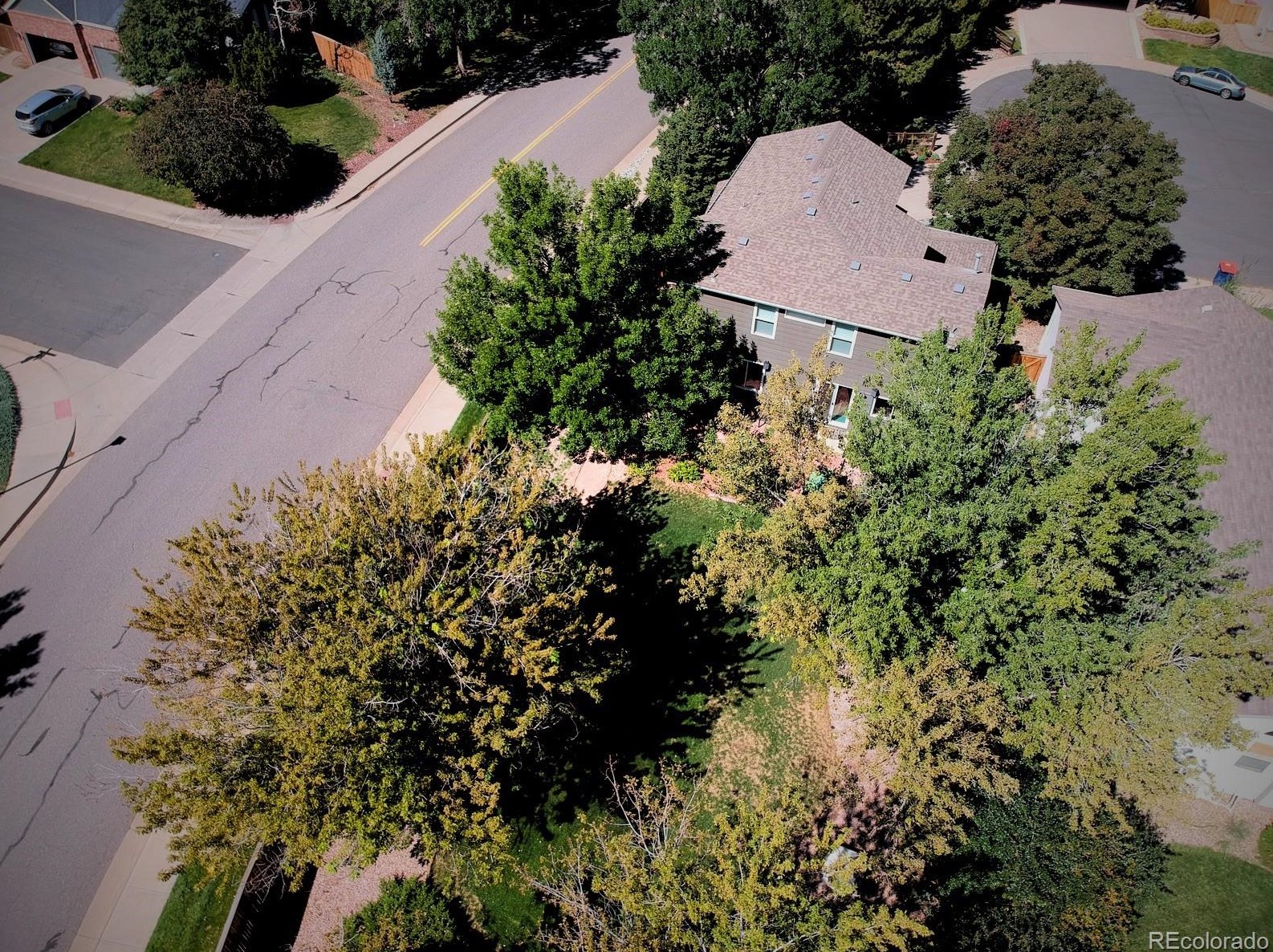 10542 Tiger Chase, Littleton CO  80124-9584 exterior