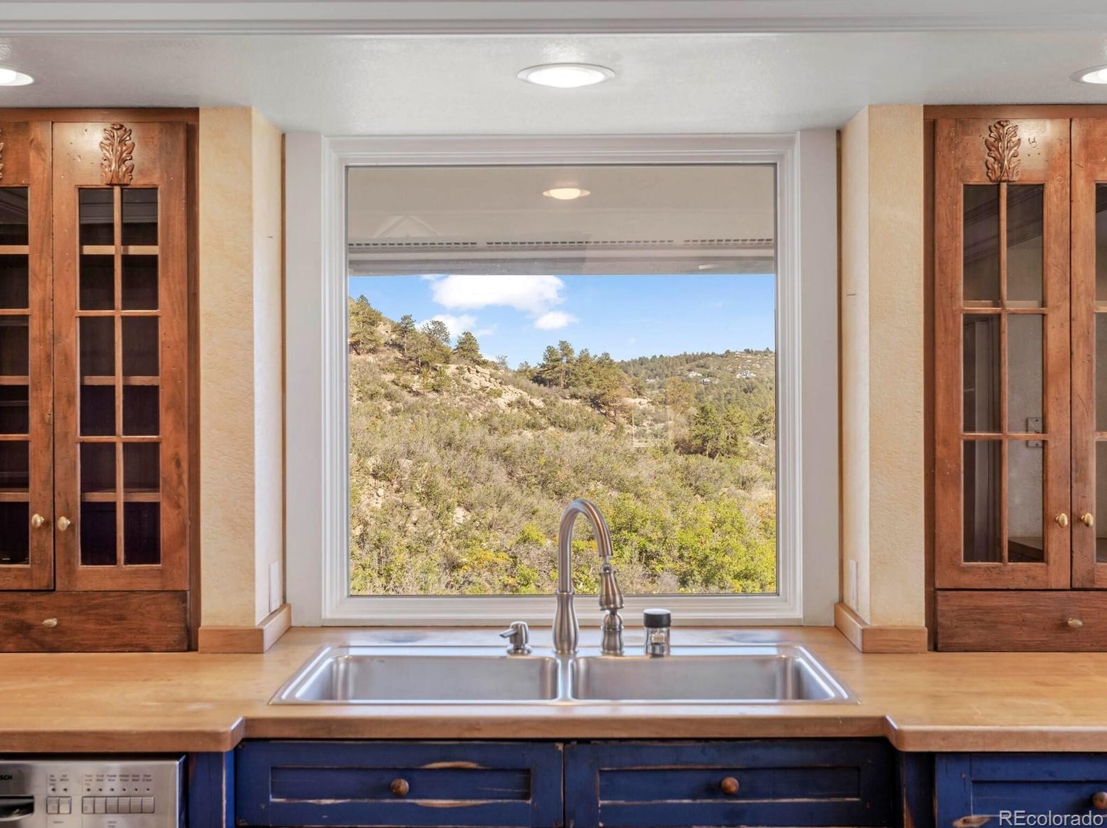 11 Castle Pne Dr, Castle Rock CO 80108-9155 exterior