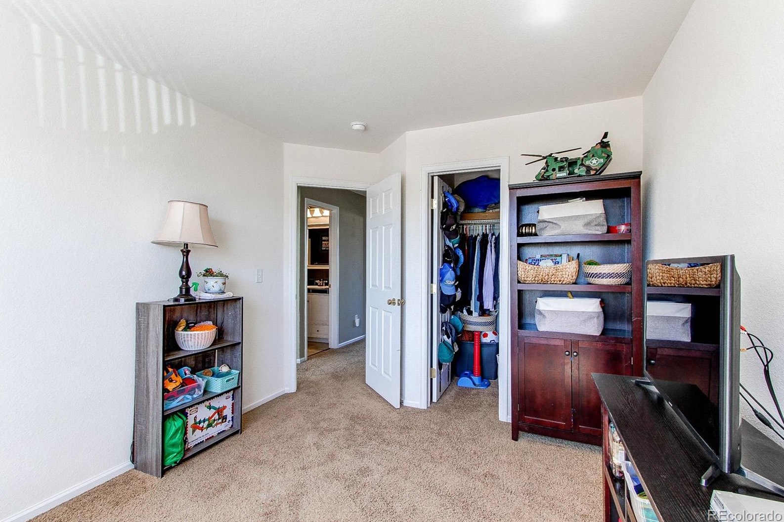 6685 Shannock Ave, Castle Rock CO  80104-8713 exterior