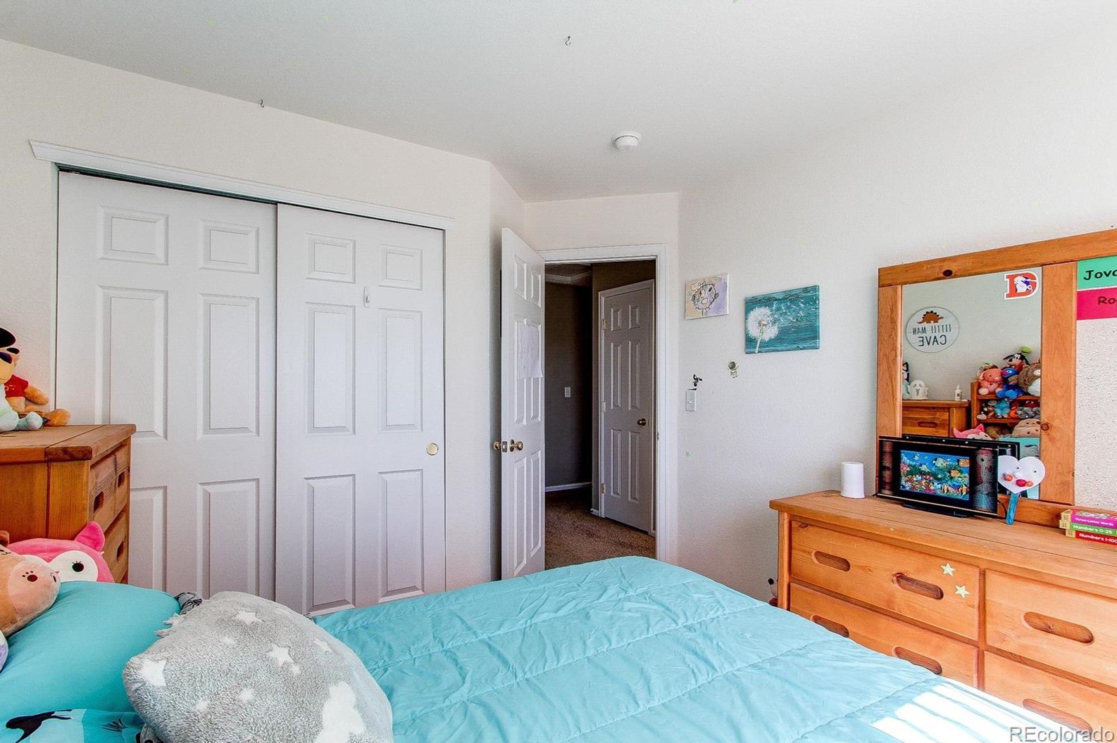 6685 Shannock Ave, Castle Rock CO  80104-8713 exterior