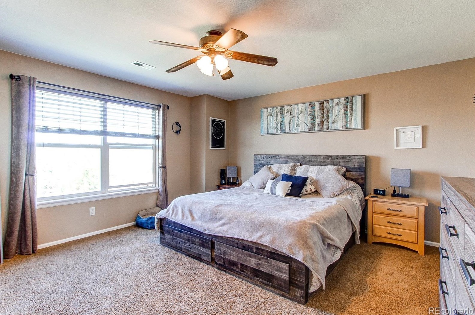 6685 Shannock Ave, Castle Rock CO  80104-8713 exterior