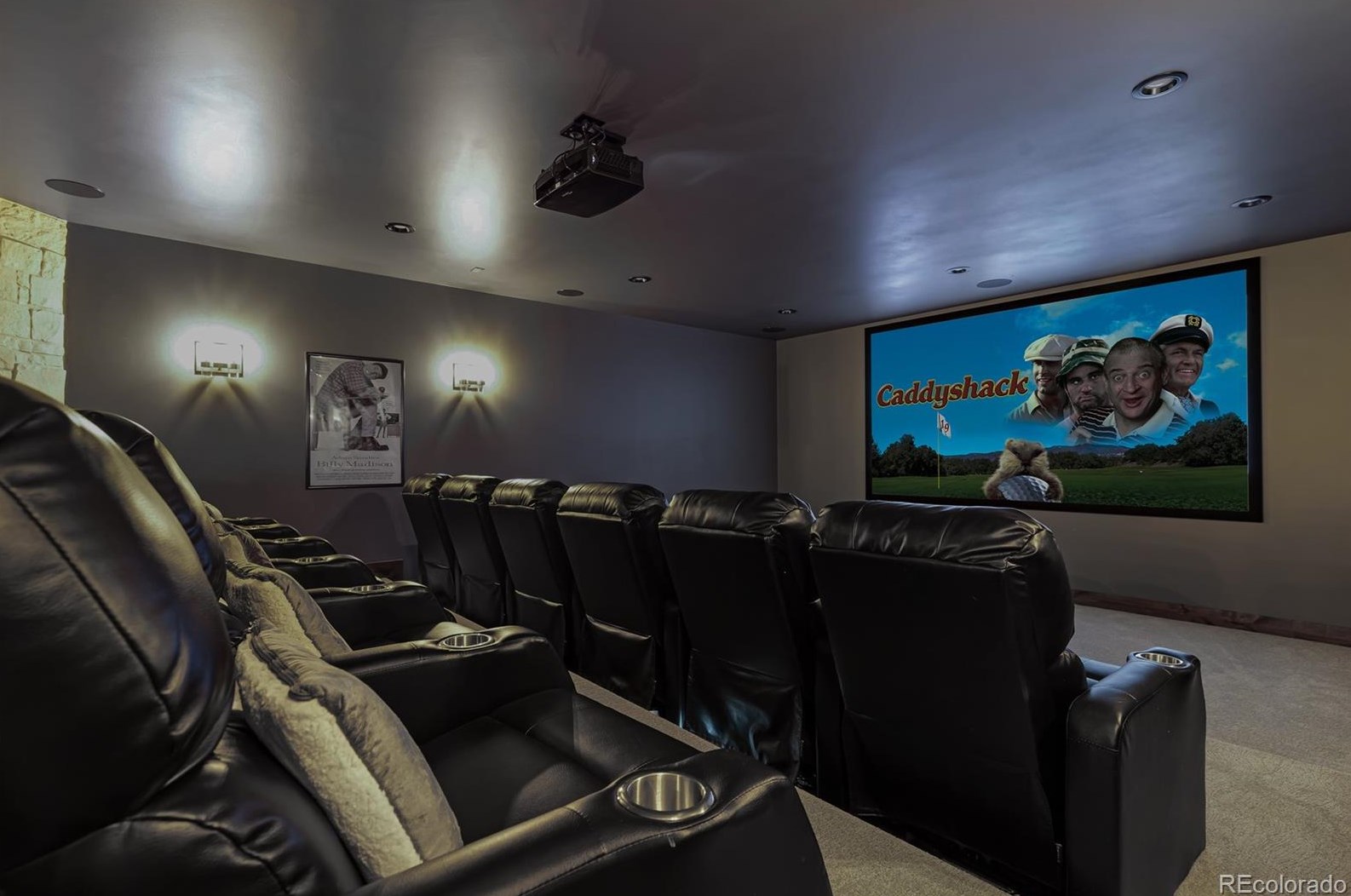 10534 Niagara St, Littleton CO  80124-9402 exterior