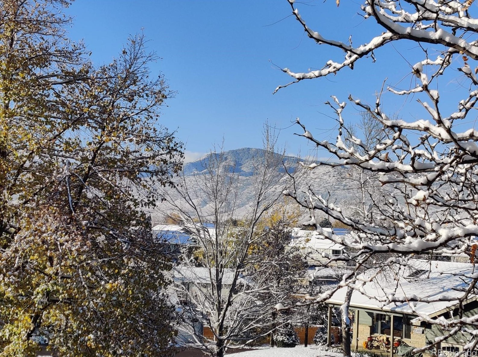 8354 Brentwood St, Littleton CO  80128-6116 exterior