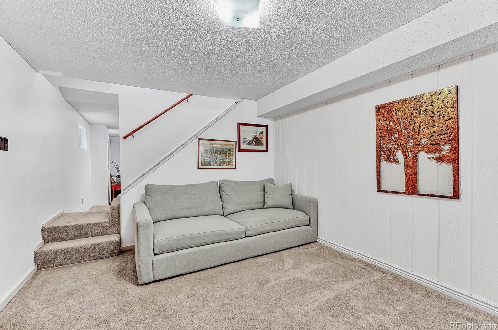 6496 Dexter St, Littleton CO 80122-2341 exterior