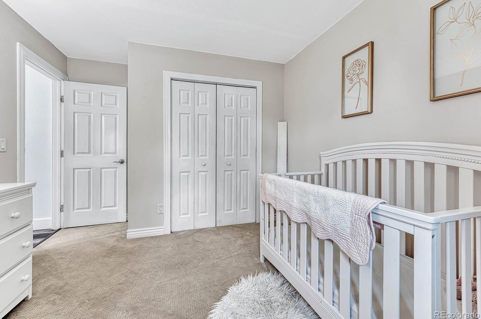 6496 Dexter St, Littleton CO 80122-2341 exterior