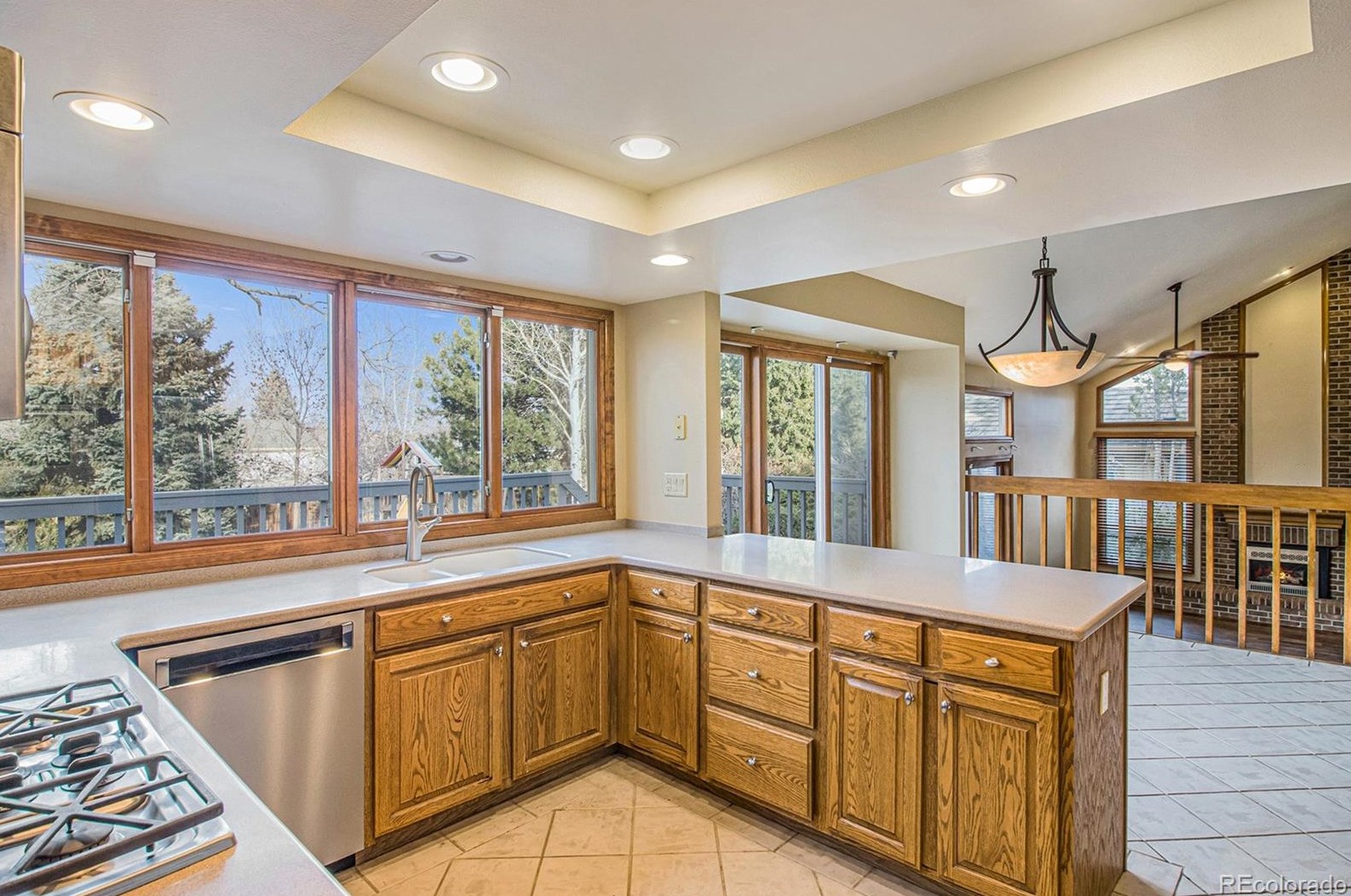 8217 Lodgepole Trl, Littleton CO 80124-3003 exterior