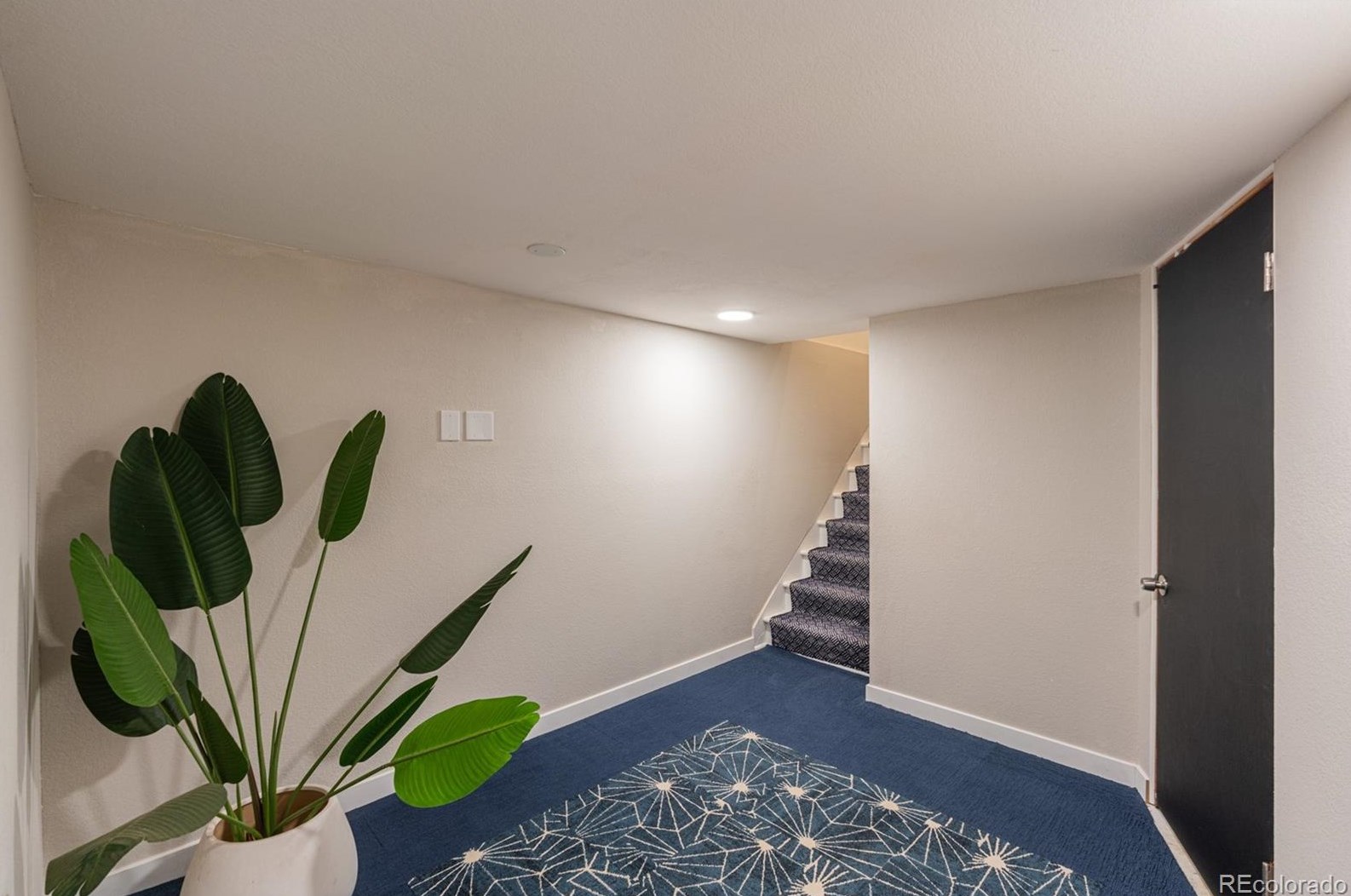 520 Aberdeen Ave, Littleton CO 80120-2711 exterior