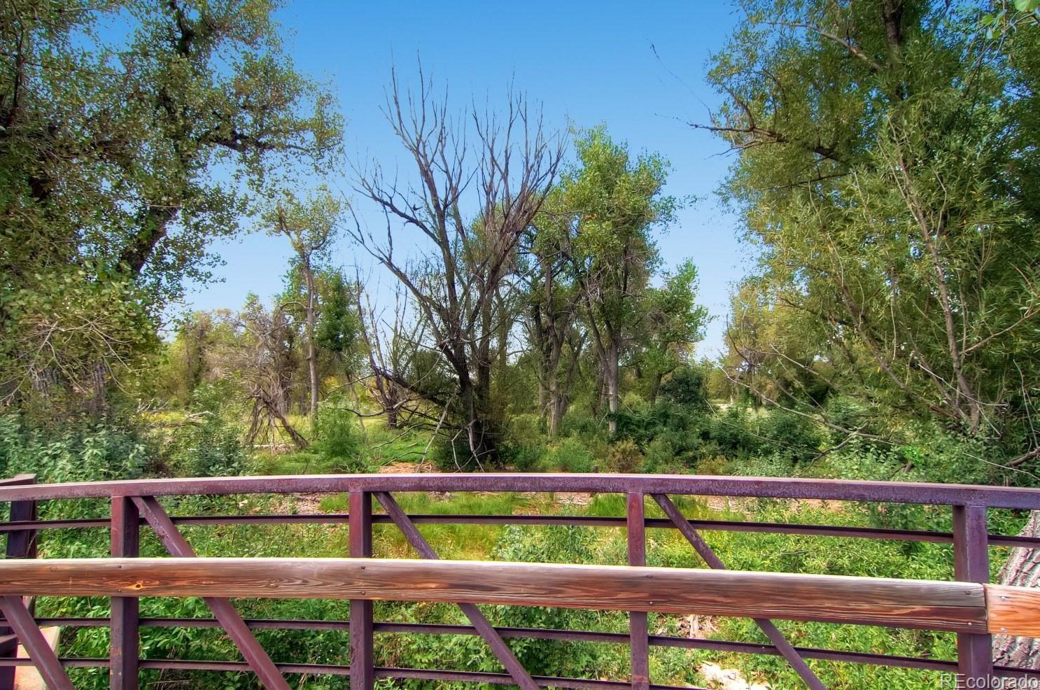 5161 Quarles Dr, Littleton CO  80128-6417 exterior