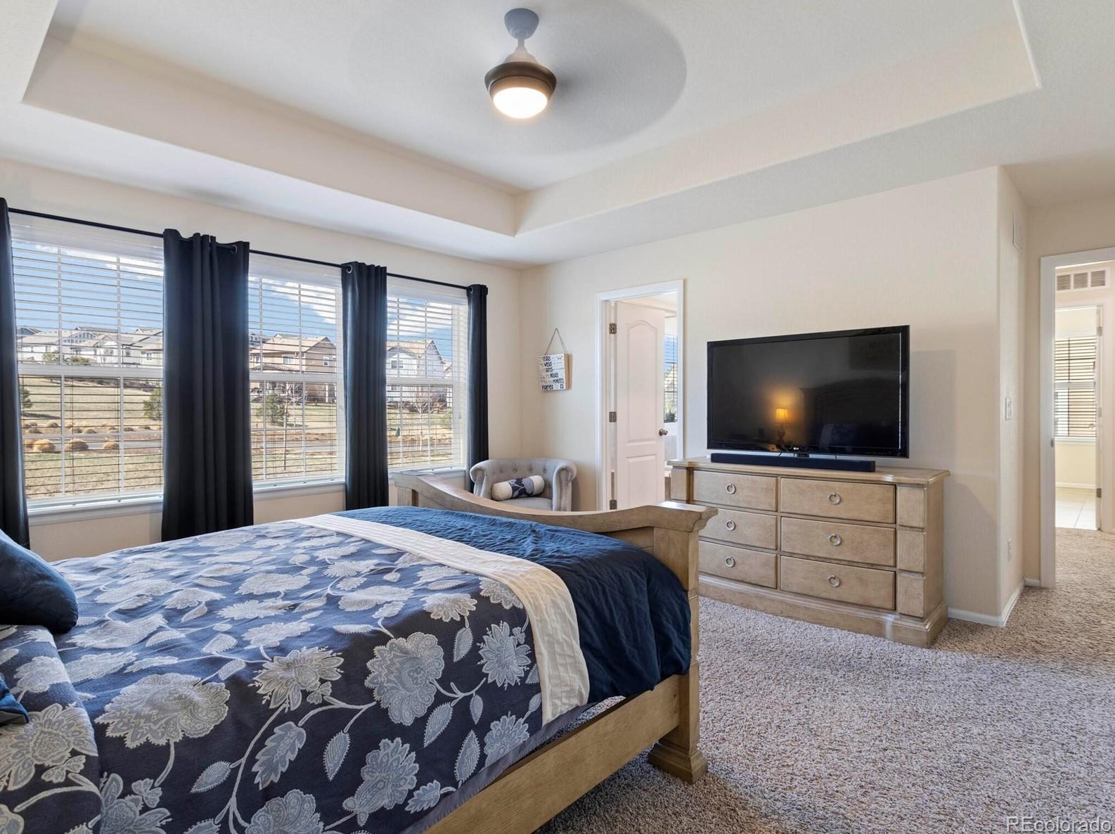 2584 Ambience Ln, Castle Rock CO  80109-3753 exterior