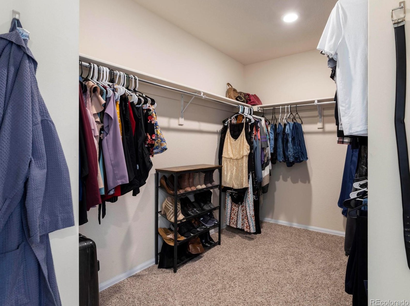 2584 Ambience Ln, Castle Rock CO  80109-3753 exterior