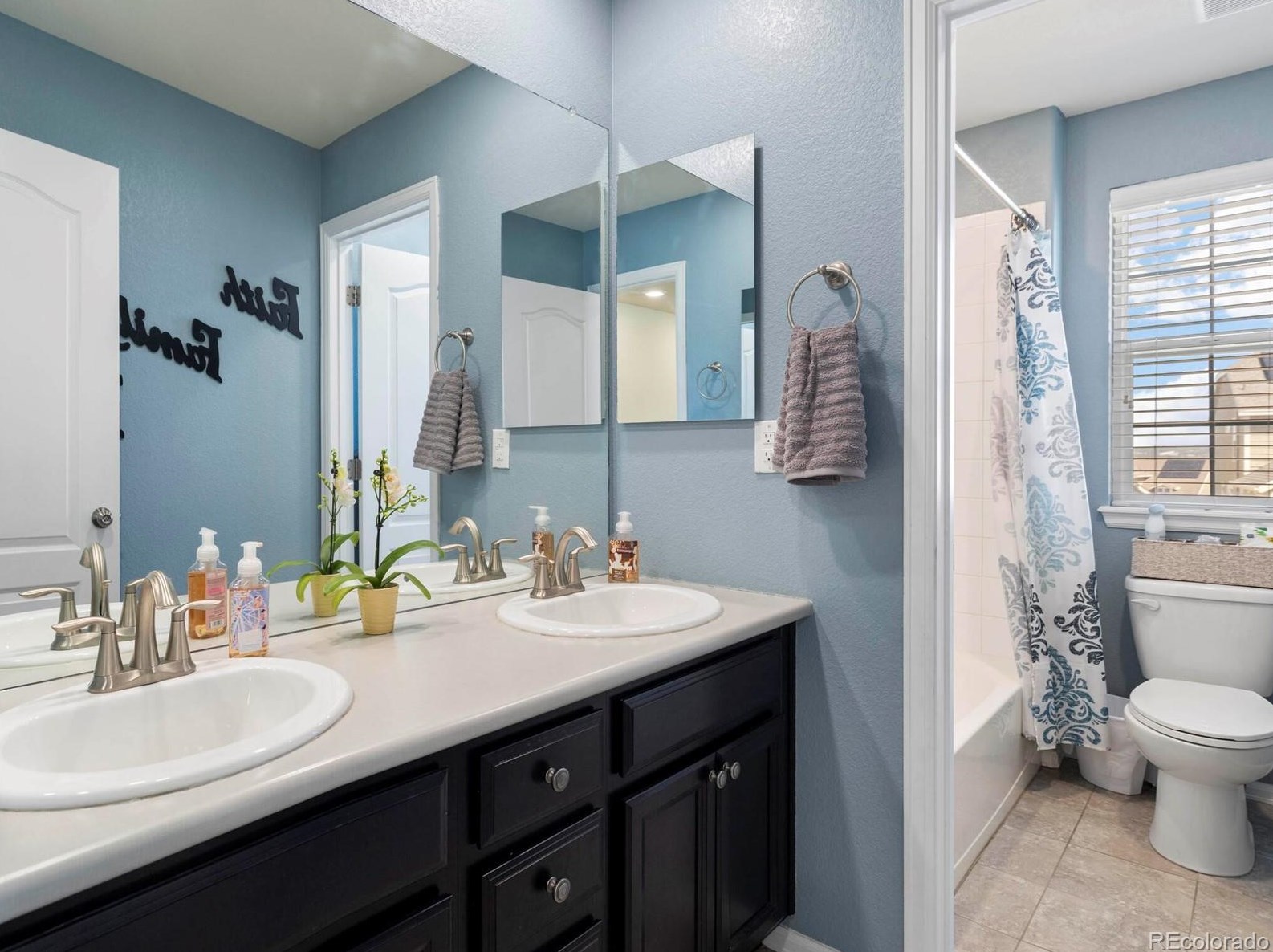 2584 Ambience Ln, Castle Rock CO  80109-3753 exterior