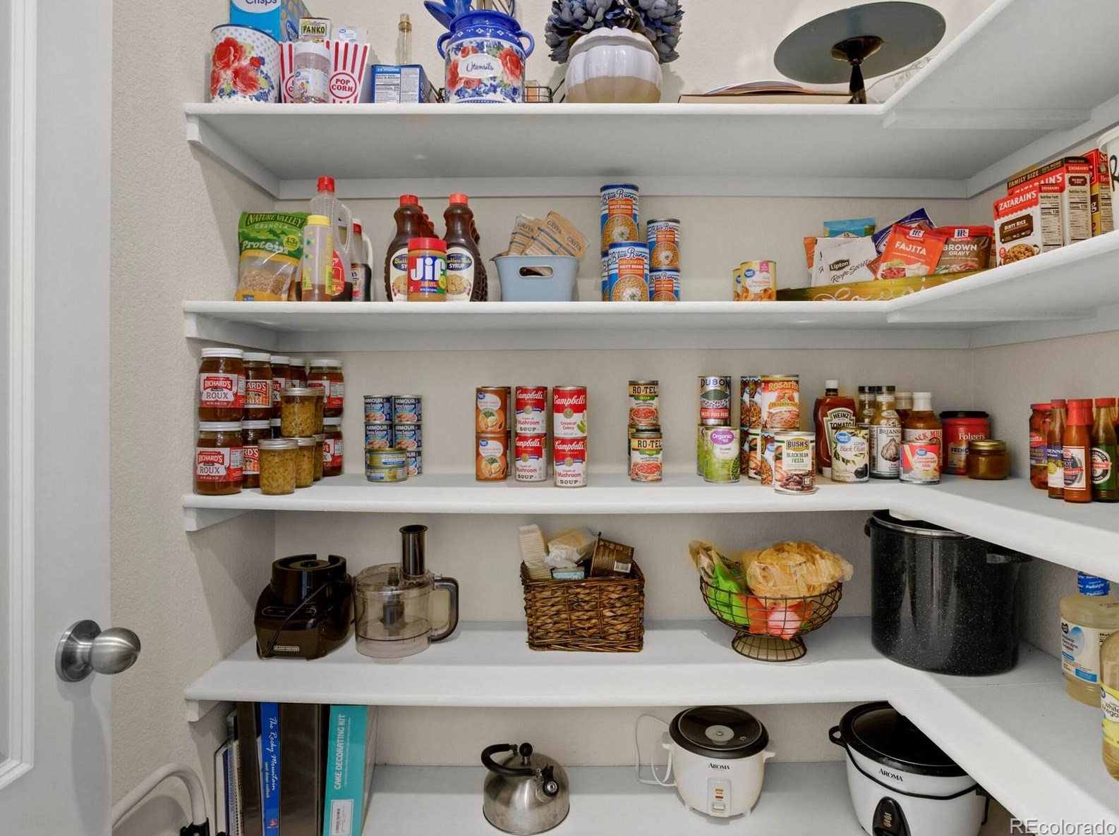 2584 Ambience Ln, Castle Rock CO  80109-3753 exterior