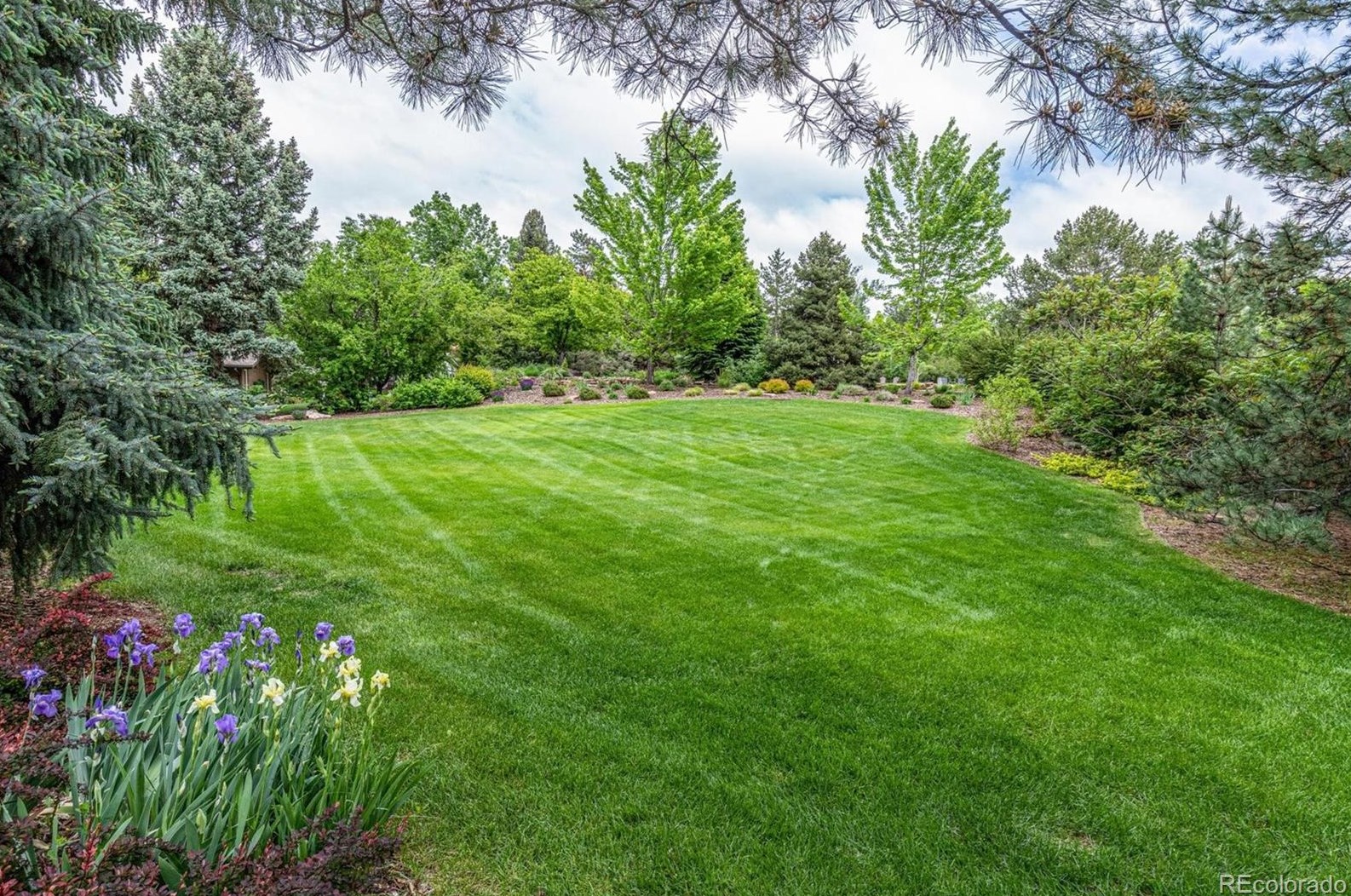 5698 Green Oaks Dr, Littleton CO 80121-1327 exterior