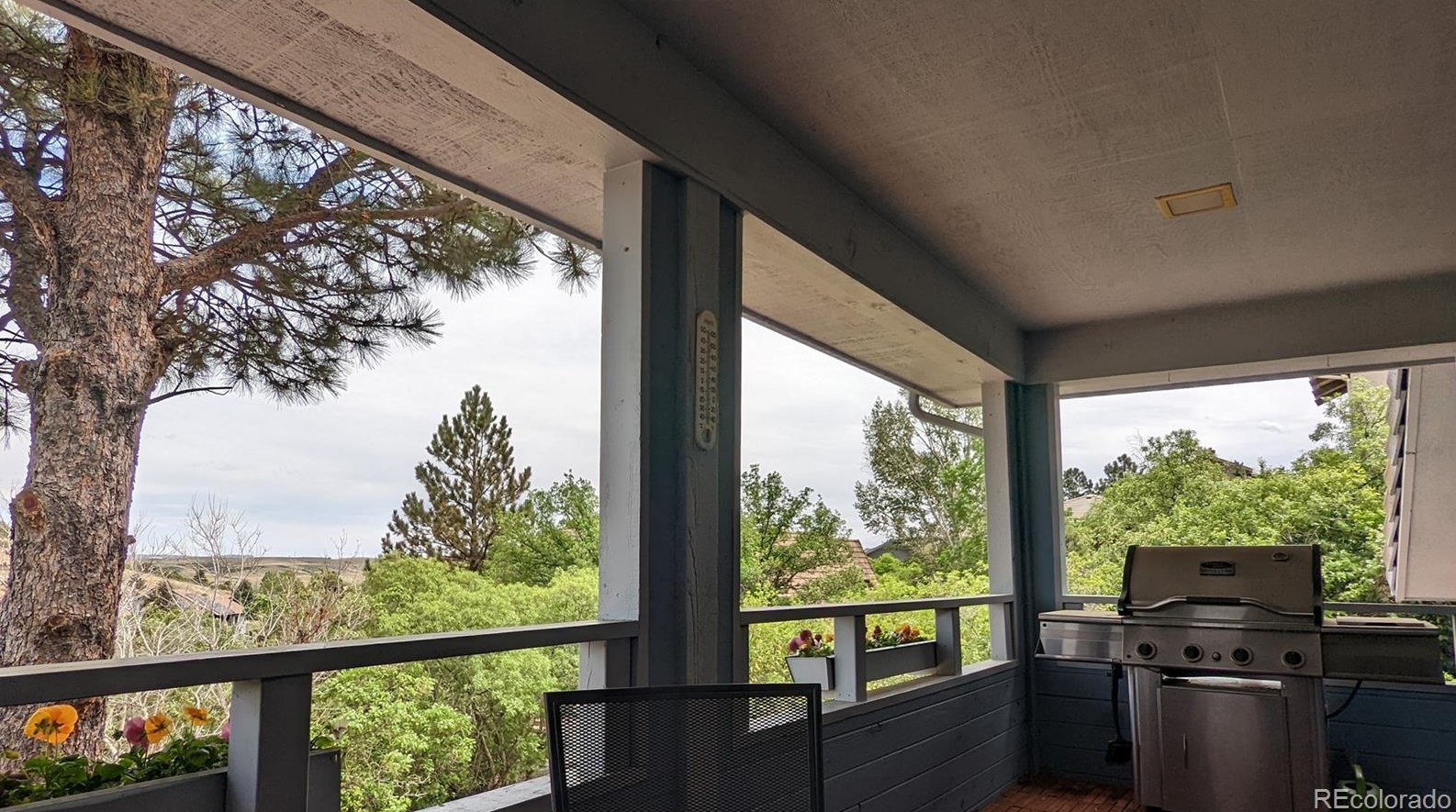 6533 Big Horn Trl, Littleton CO 80125-9091 exterior