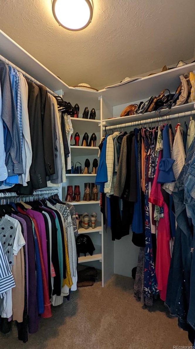 6533 Big Horn Trl, Littleton CO 80125-9091 exterior