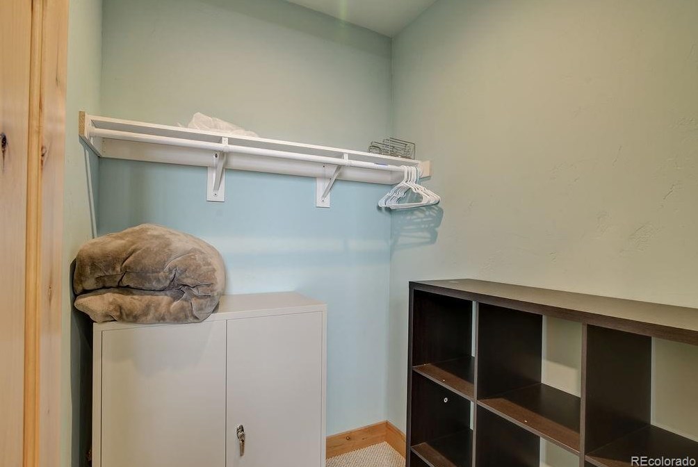 141 Grouse Rd, Buena Vista CO  81211-2204 exterior