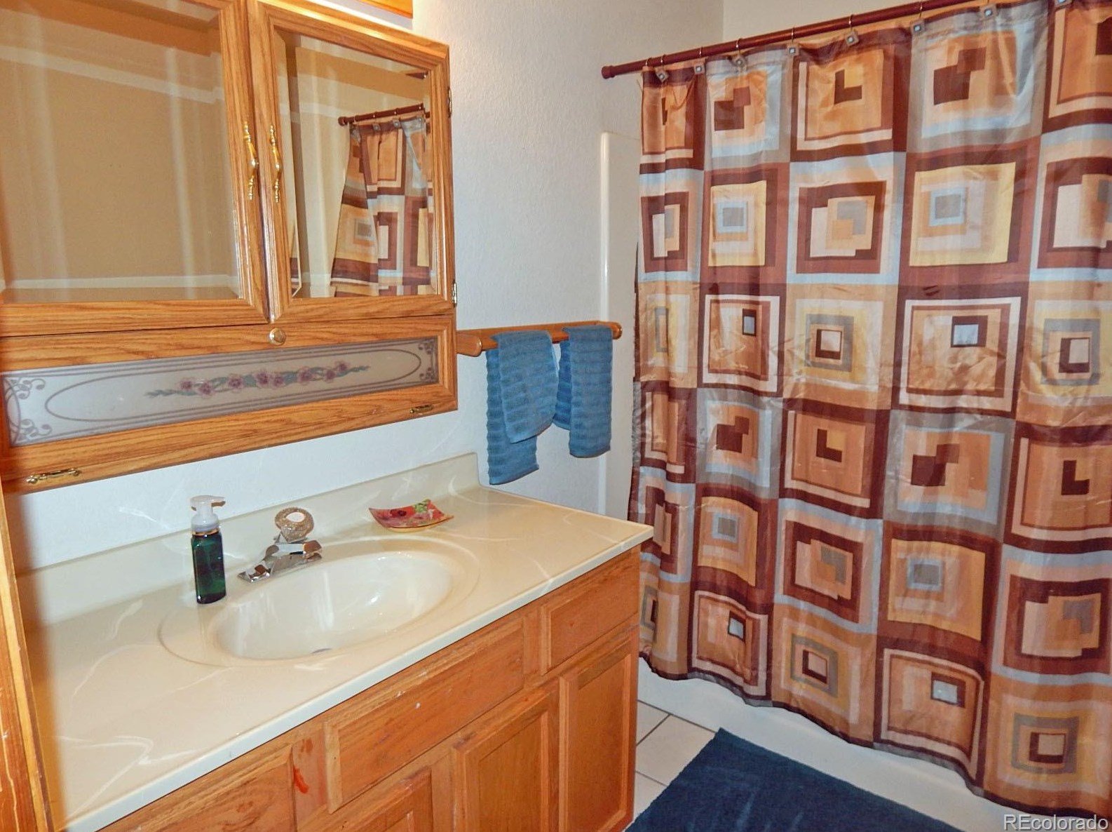 91 Connie Dr, Buena Vista CO 81211-9182 exterior