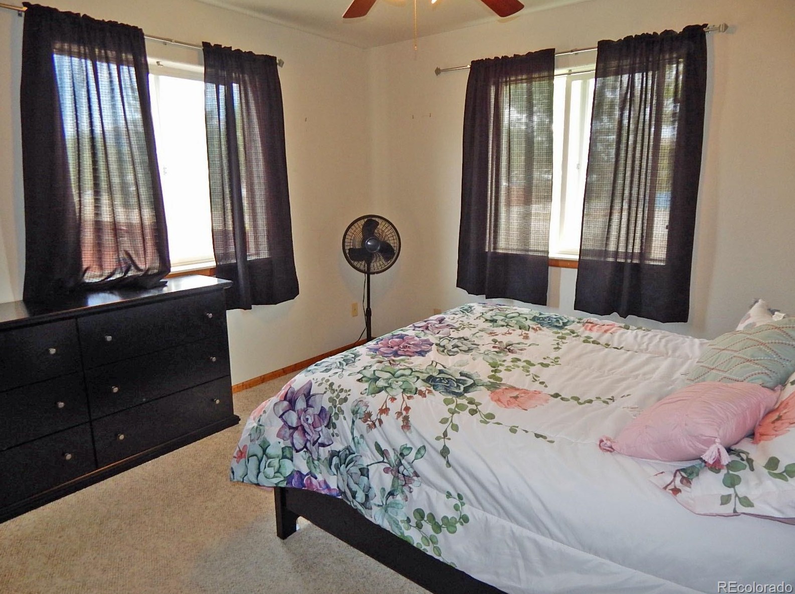 91 Connie Dr, Buena Vista CO 81211-9182 exterior