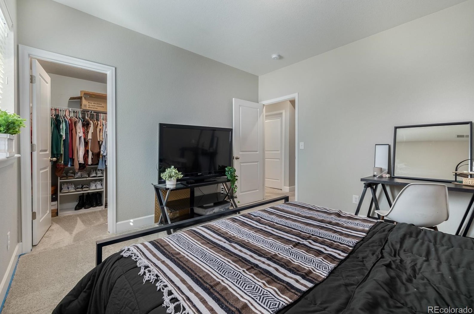 2547 Hillcroft Ln, Castle Rock CO  80104 exterior