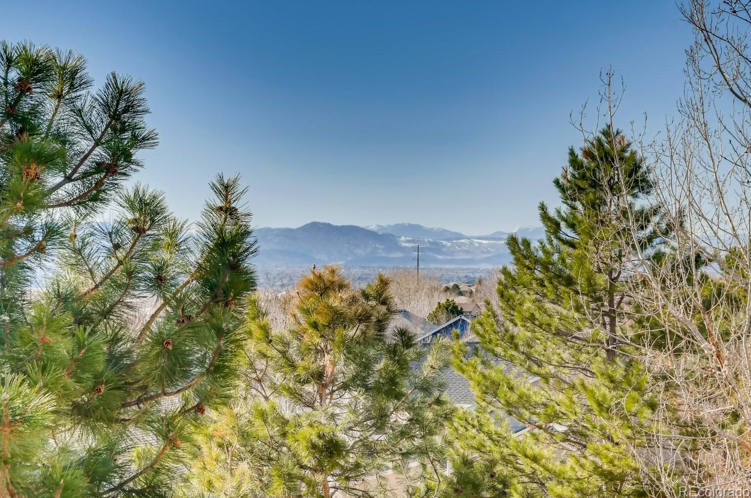 9369 Wolfe St, Littleton CO 80129-5766 exterior