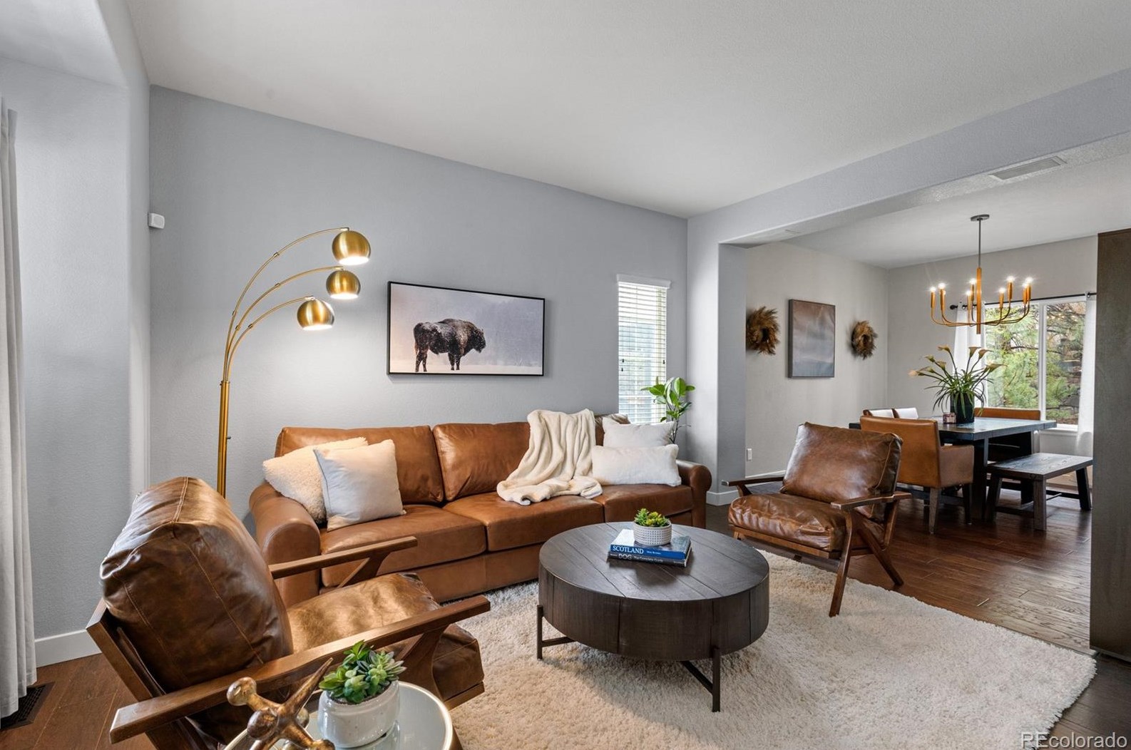 8155 Briar Cliff Dr, Castle Rock CO  80108-8215 exterior