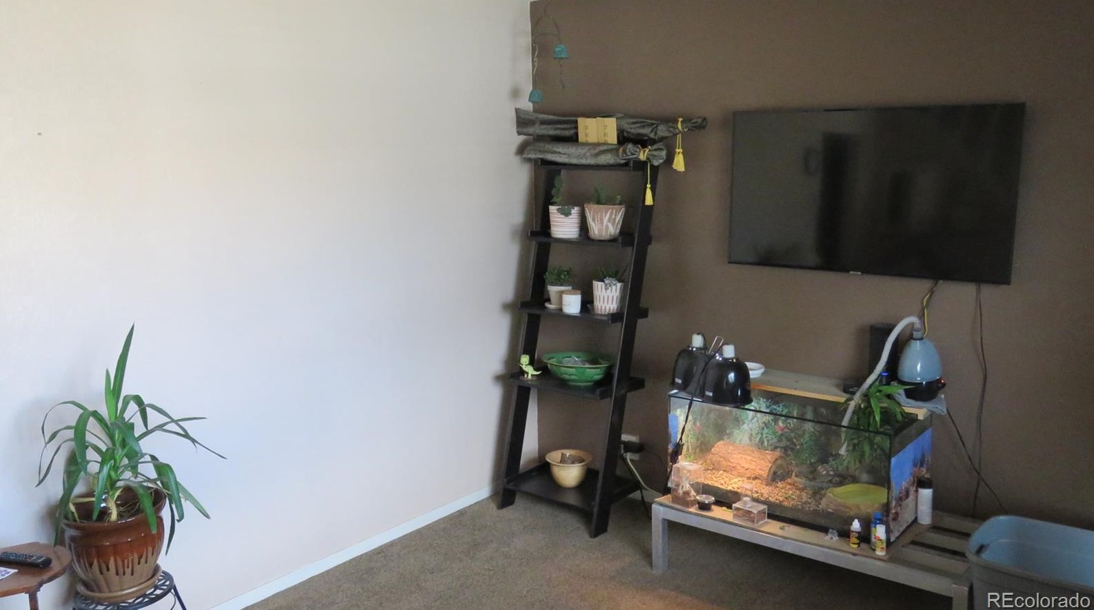 120 Surrey St, Buena Vista CO exterior