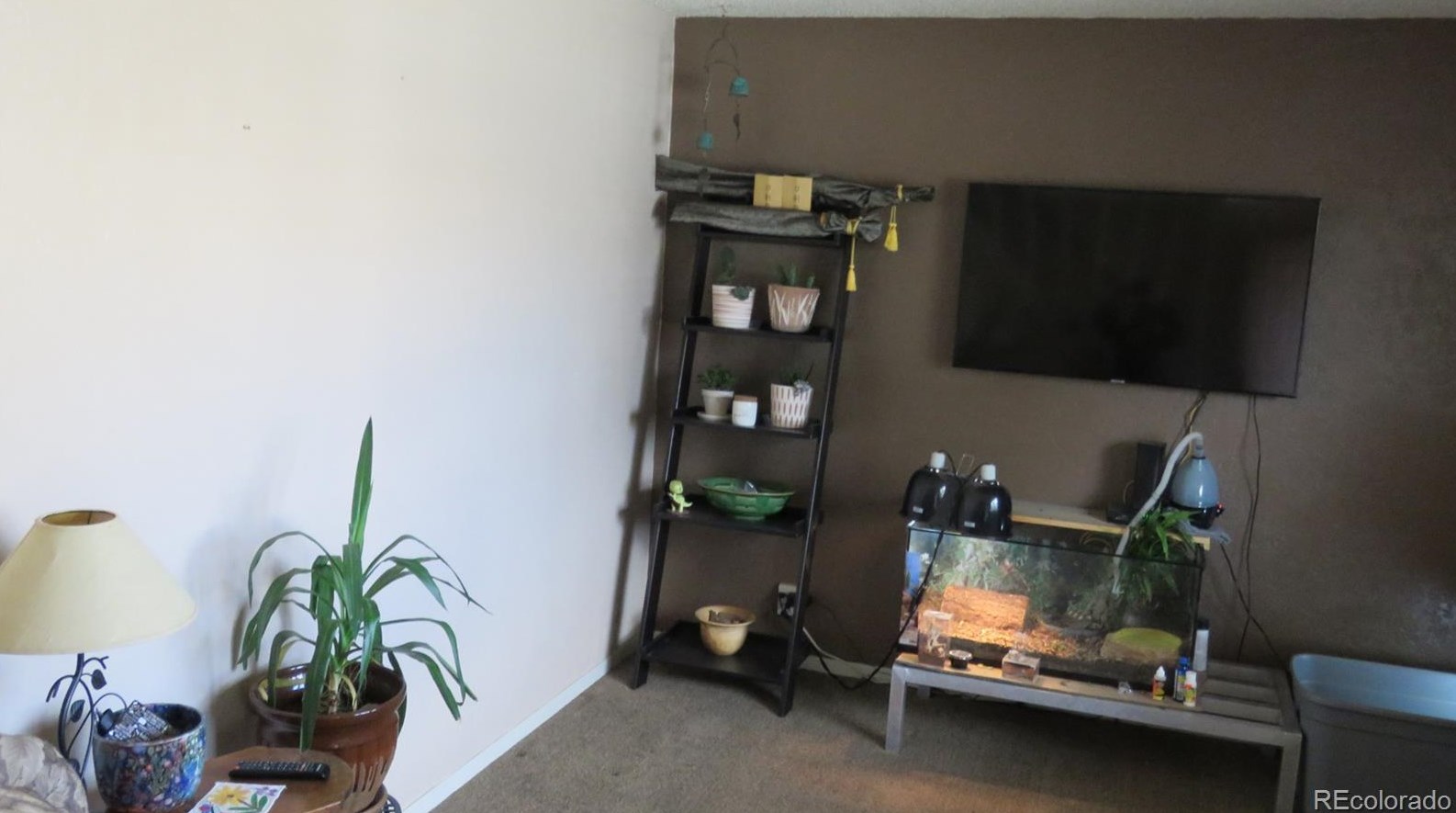 120 Surrey St, Buena Vista CO exterior