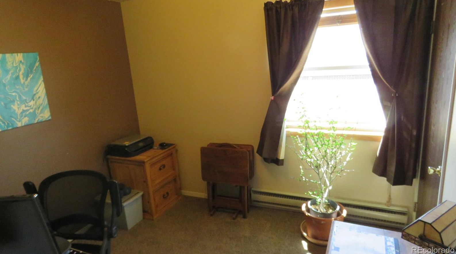 120 Surrey St, Buena Vista CO exterior