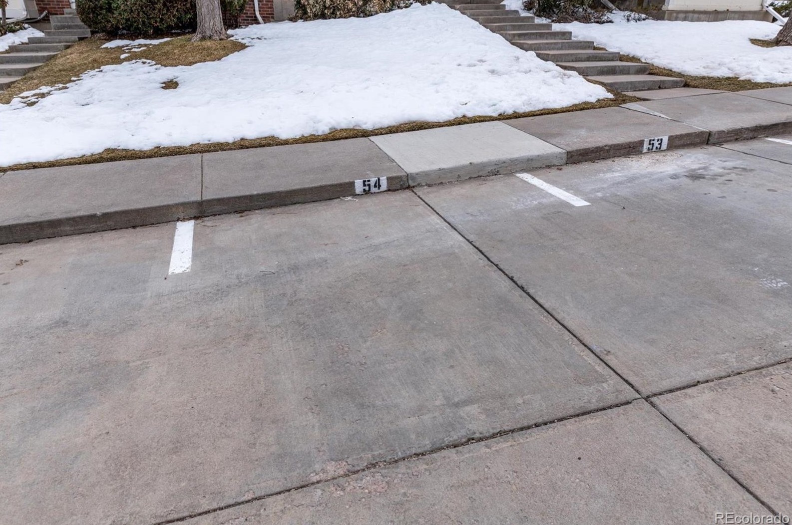 7605 Steele St, Littleton CO  80122-3364 exterior