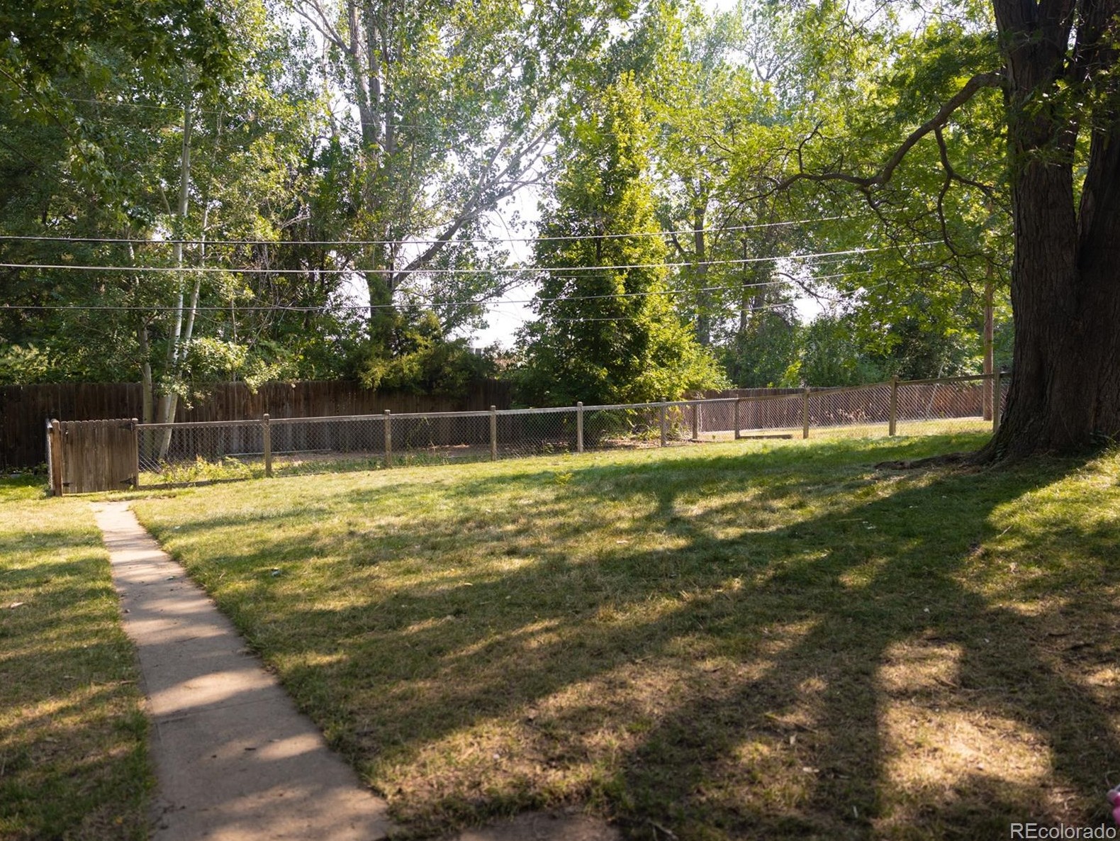 9883 77th Ave, Arvada CO  80005-4014 exterior