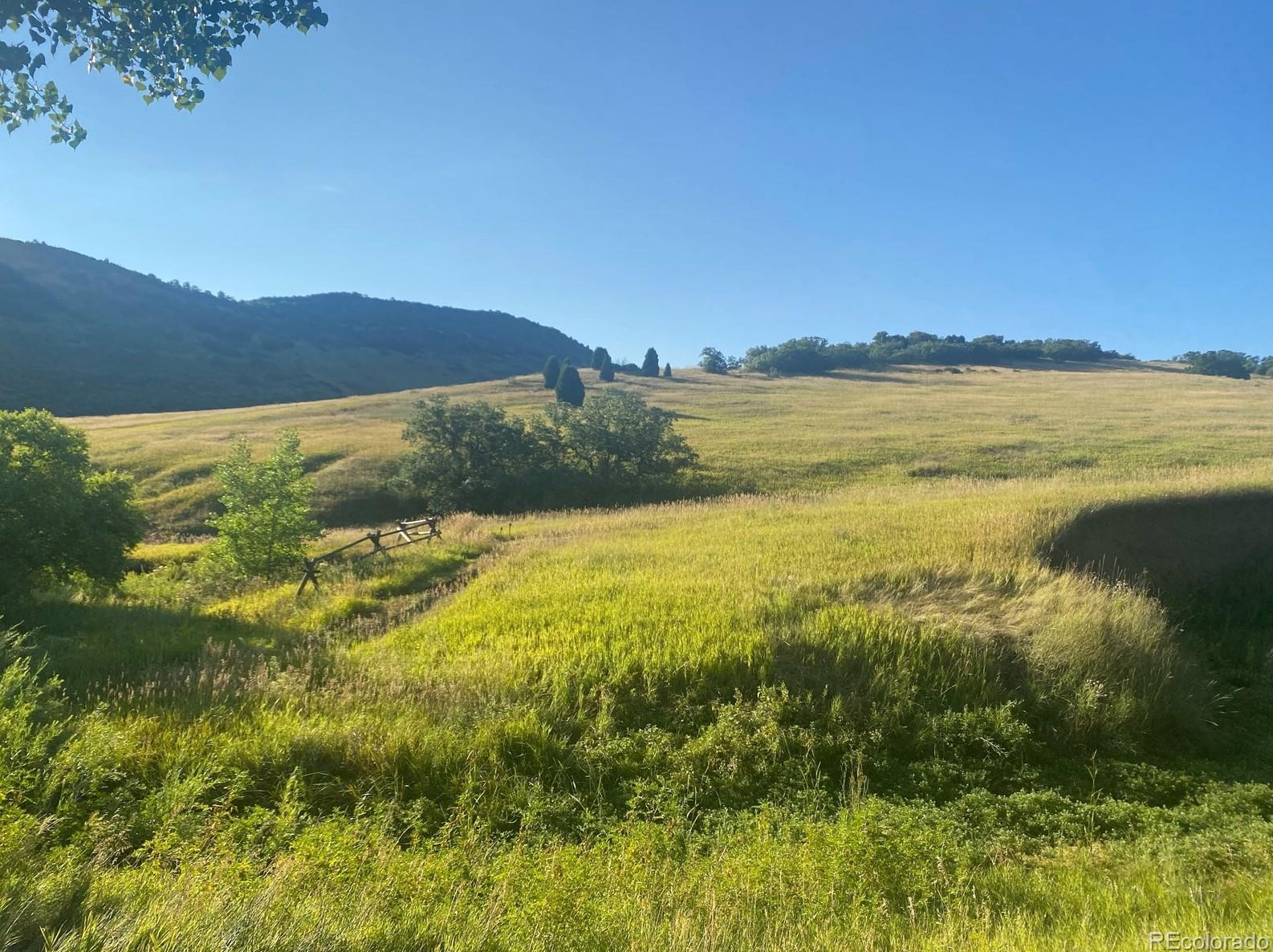 32 Lark Bunting Ln, Littleton CO 80127-2207 exterior