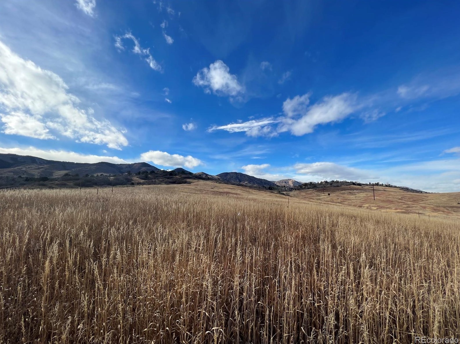 32 Lark Bunting Ln, Littleton CO 80127-2207 exterior