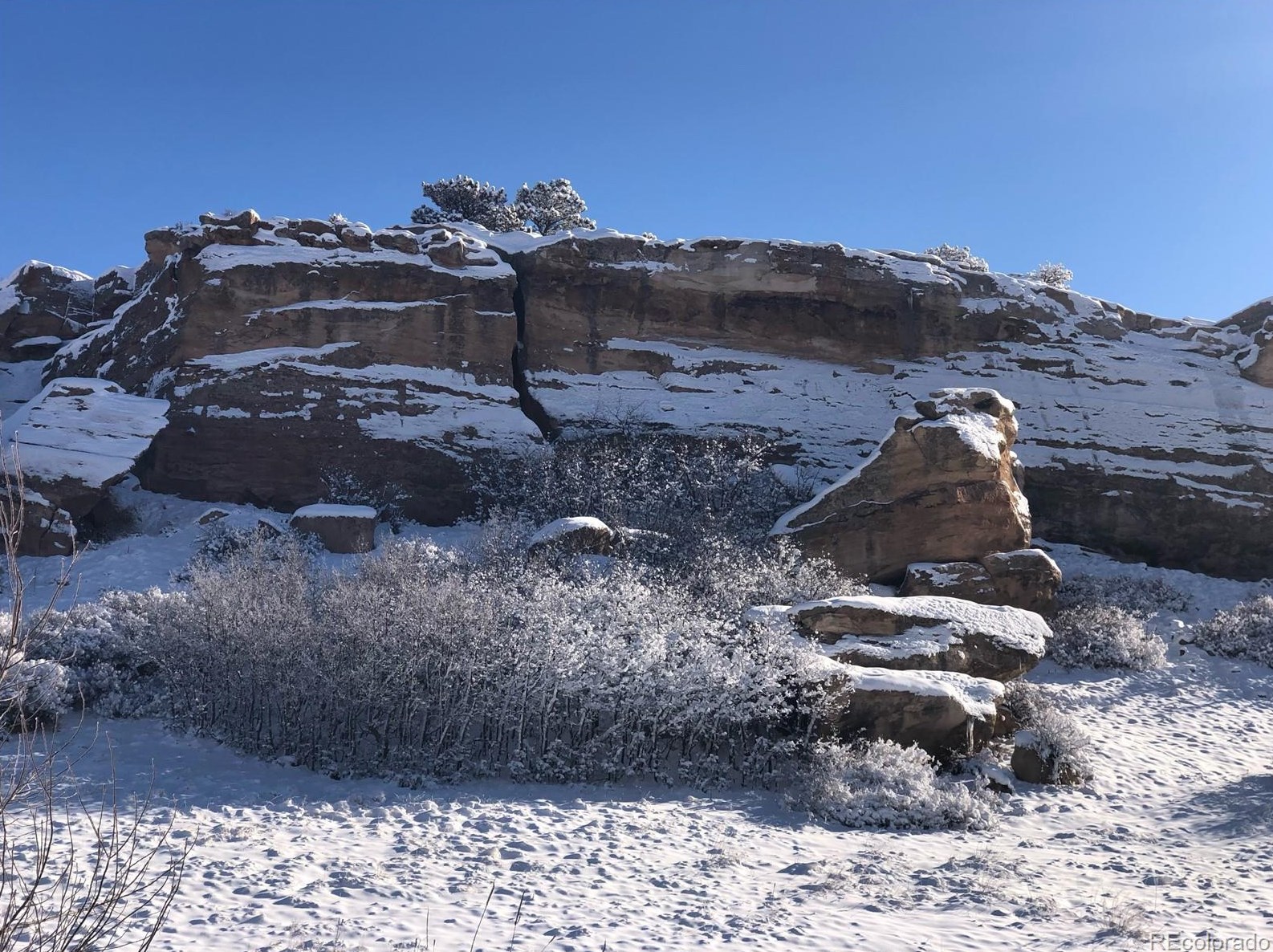 32 Lark Bunting Ln, Littleton CO 80127-2207 exterior