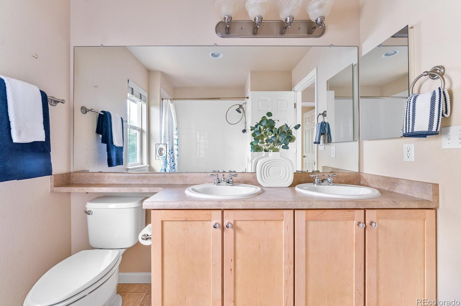 8320 Arbutus St, Arvada CO  80002-1724 exterior