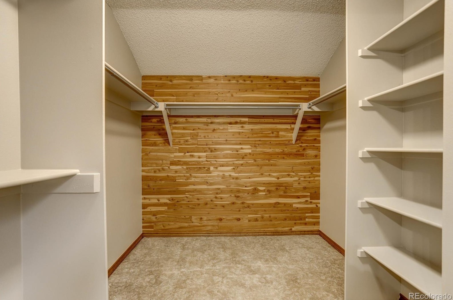 7834 Friend Dr, Littleton CO 80128-5546 exterior