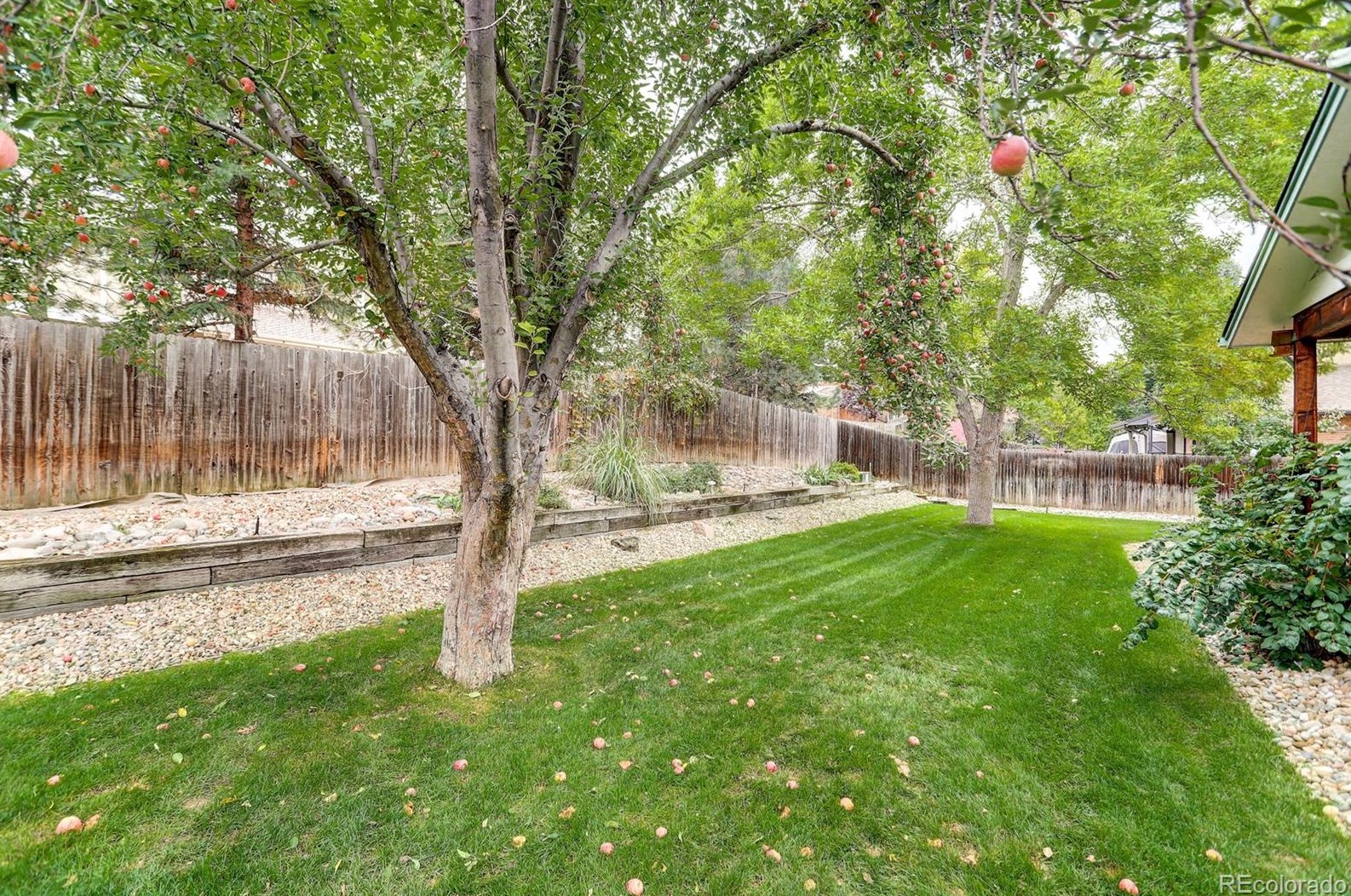 7834 Friend Dr, Littleton CO 80128-5546 exterior