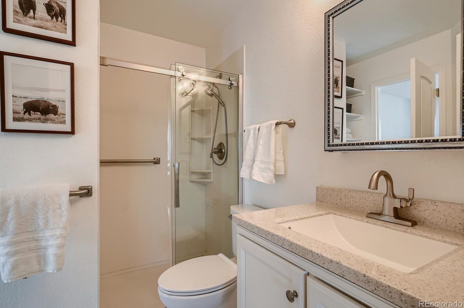 621 Walden Ct, Littleton CO 80126-3015 exterior