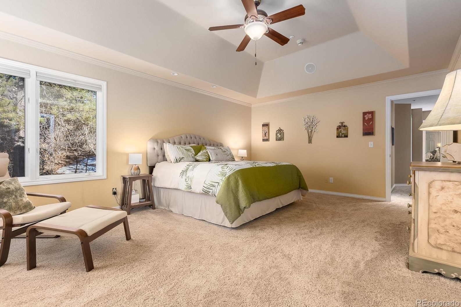 826 Good Hope Dr, Castle Rock CO 80108-9075 exterior