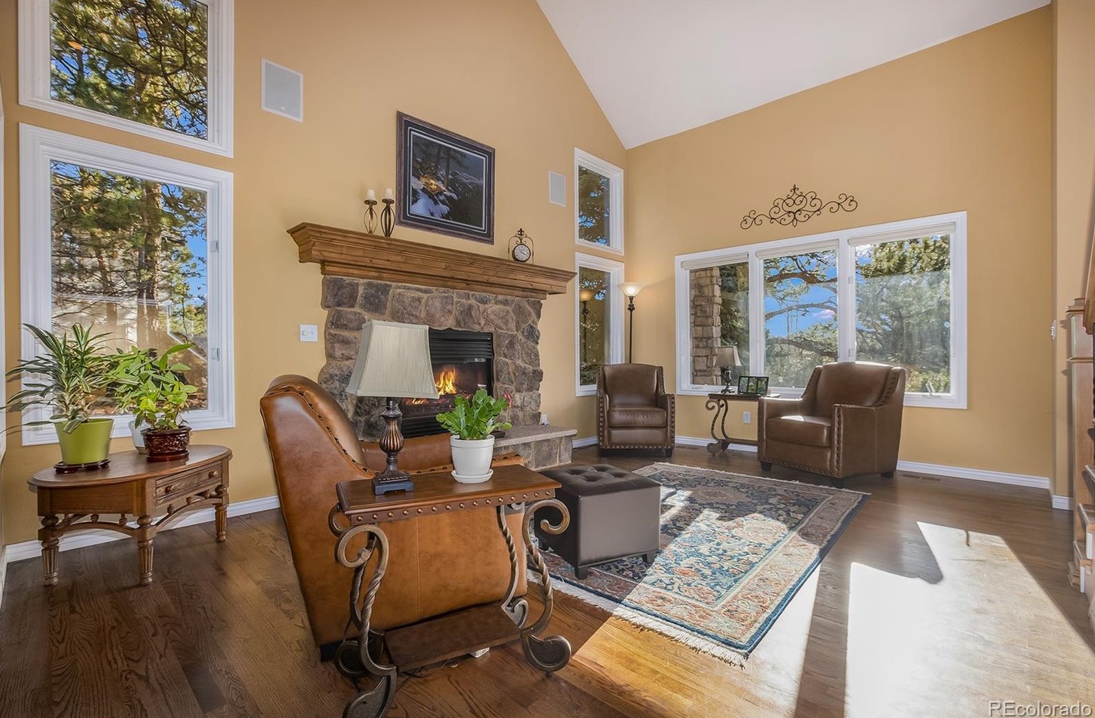 826 Good Hope Dr, Castle Rock CO 80108-9075 exterior