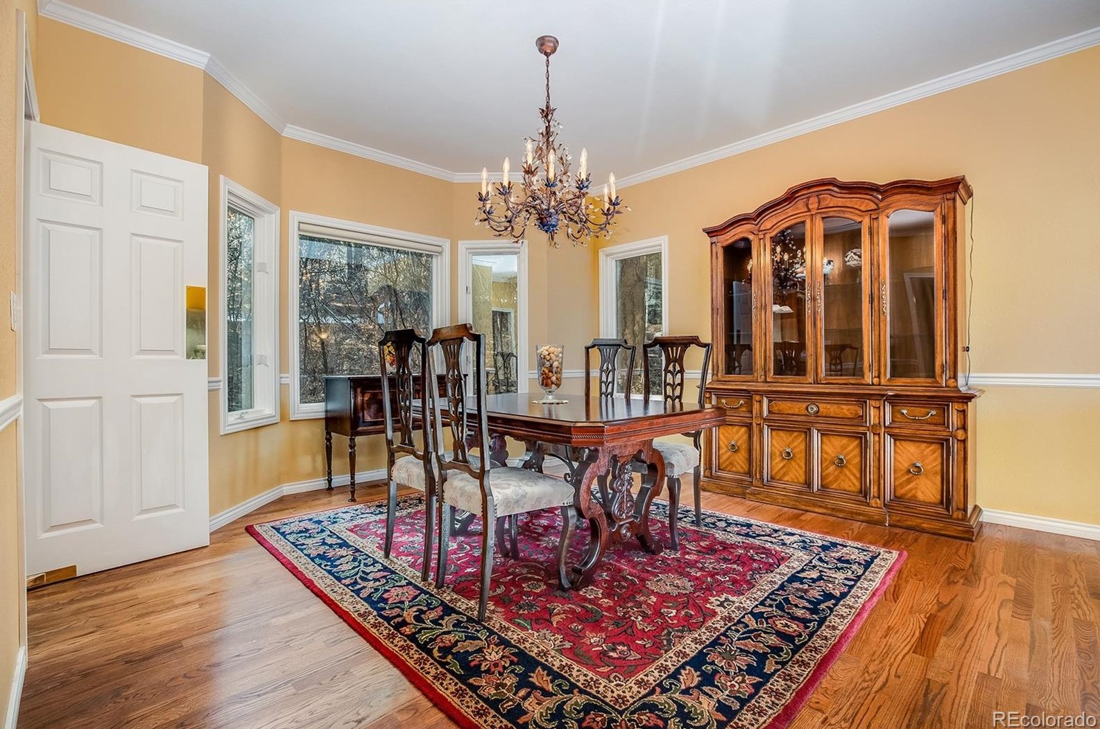 826 Good Hope Dr, Castle Rock CO 80108-9075 exterior