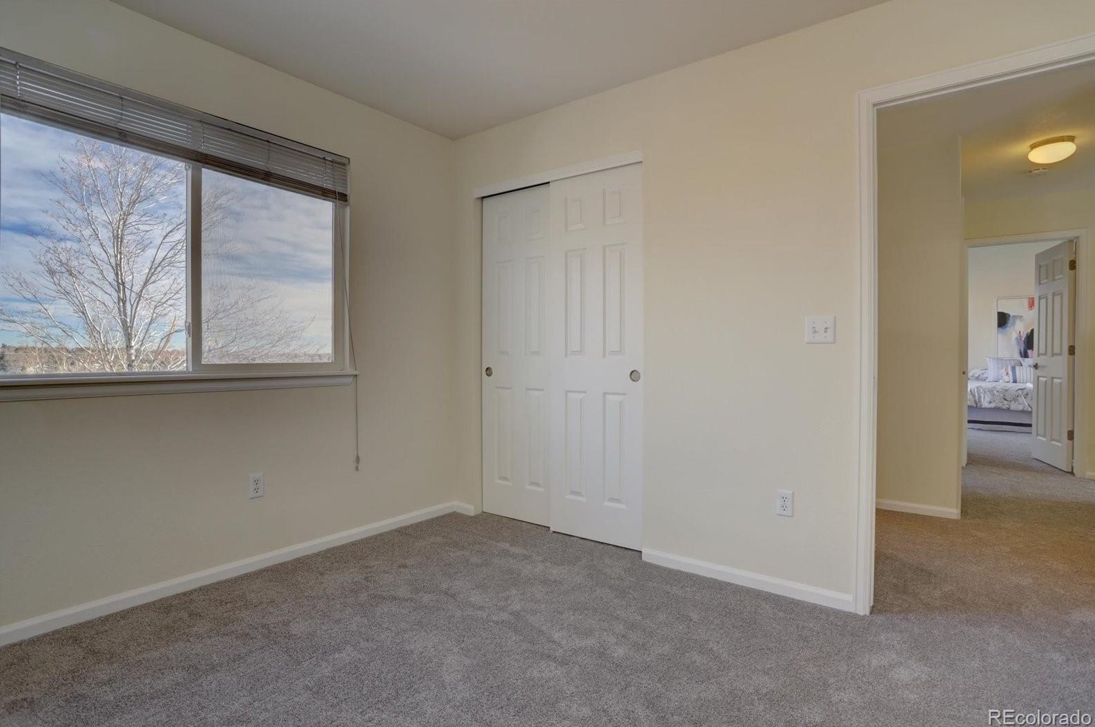 8884 Fld Ct, Littleton CO 80123-1920 exterior