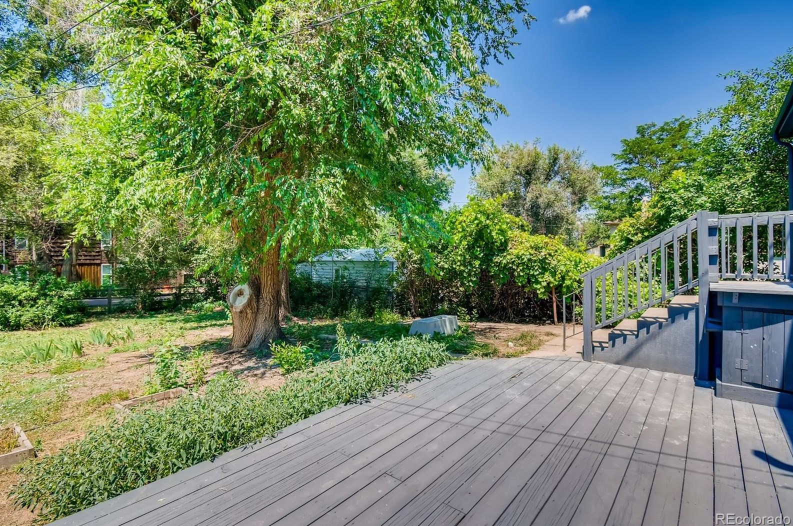 6055 Sycamore St, Littleton CO  80120-2532 exterior