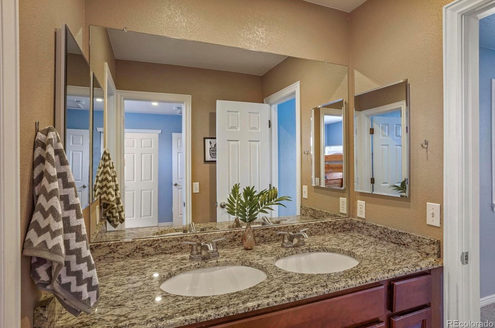 10484 Hollyhock Ct, Littleton CO 80129-6312 exterior