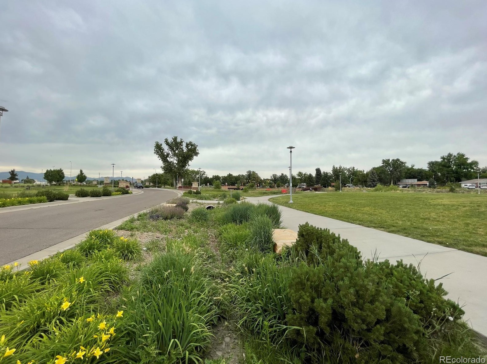 9155 Brk Dr, Arvada CO  80004-5319 exterior