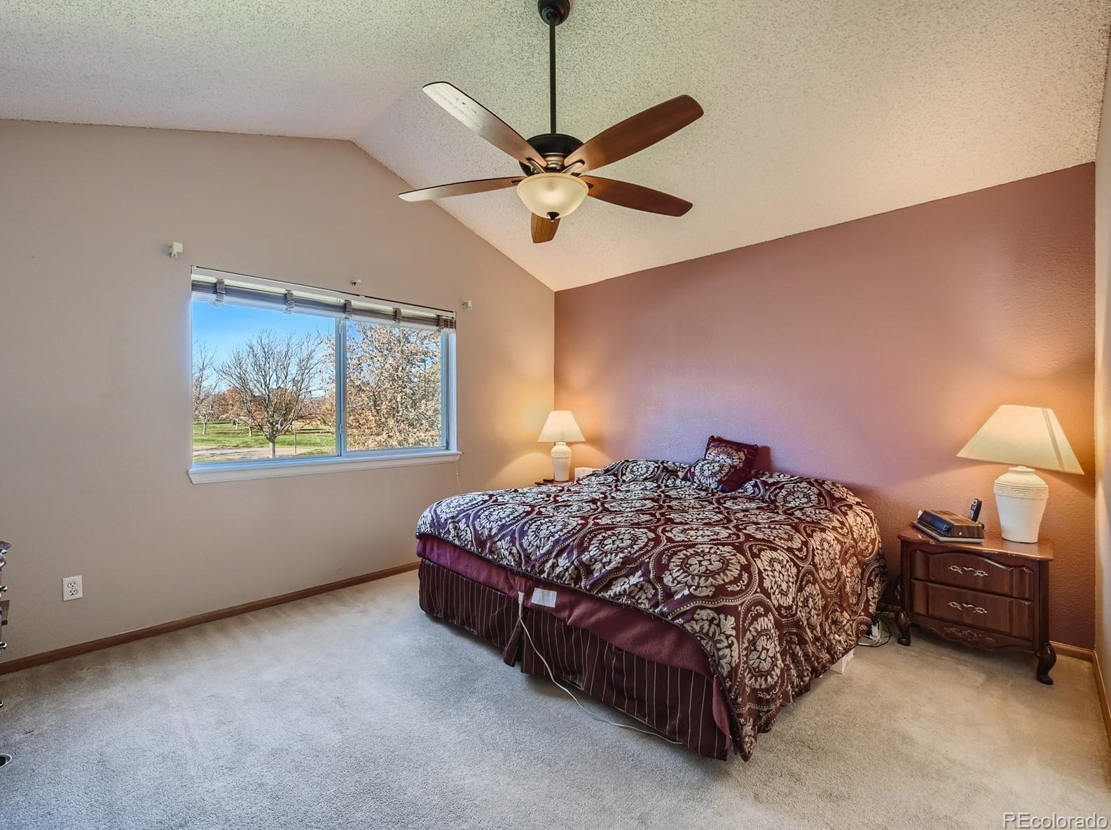 10203 Woodrose Ln, Littleton CO 80129-5418 exterior