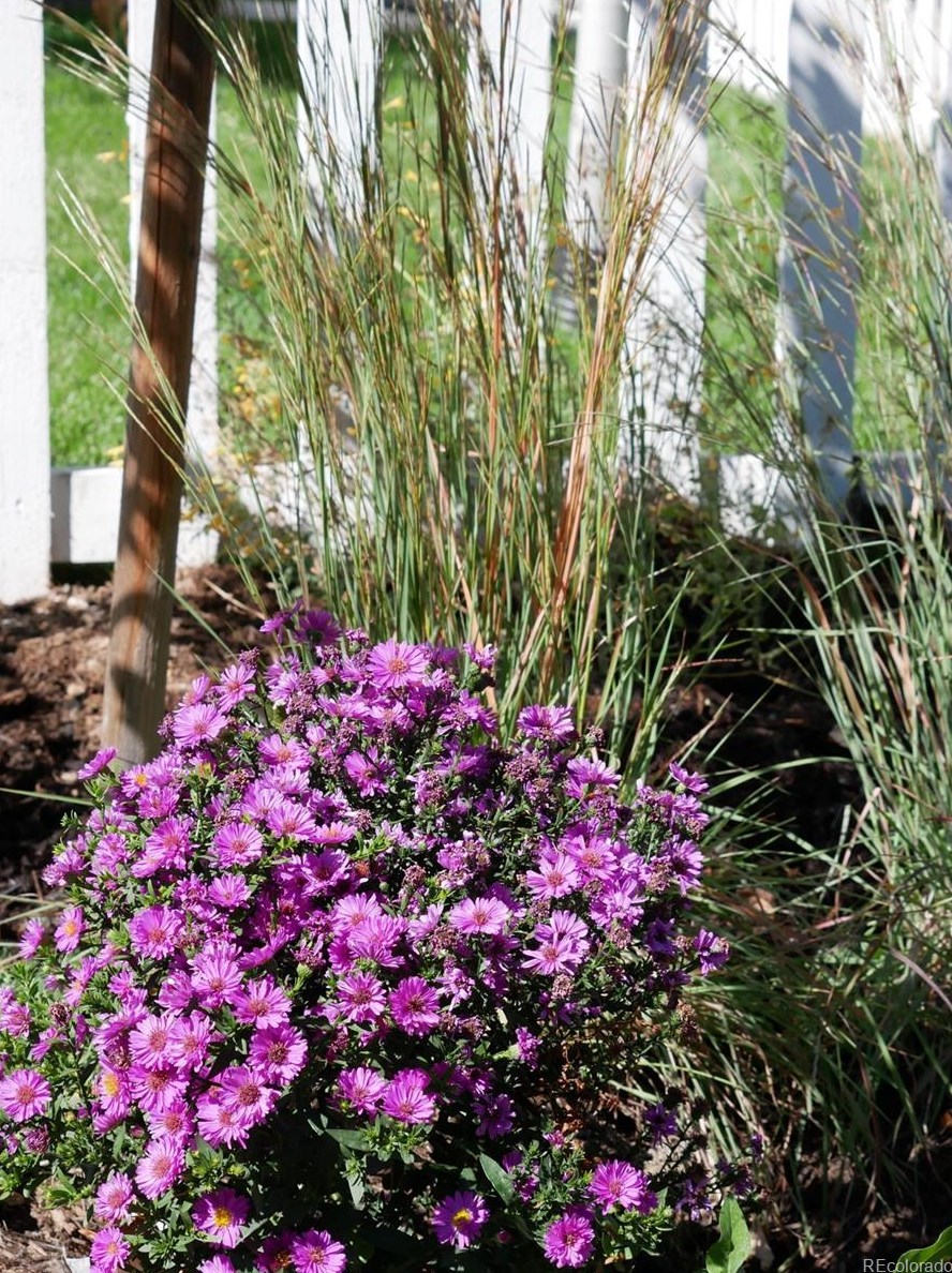 210 Cleveland St, Lafayette CO 80026-2342 exterior