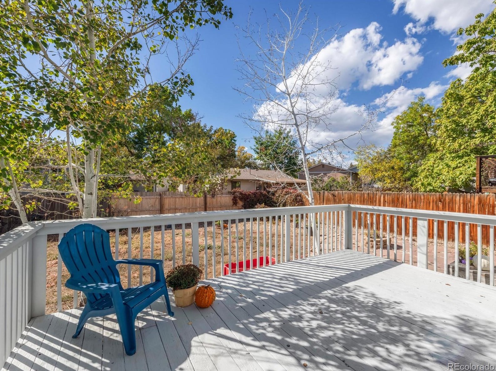 8720 Dover Cir, Arvada CO  80005-1549 exterior