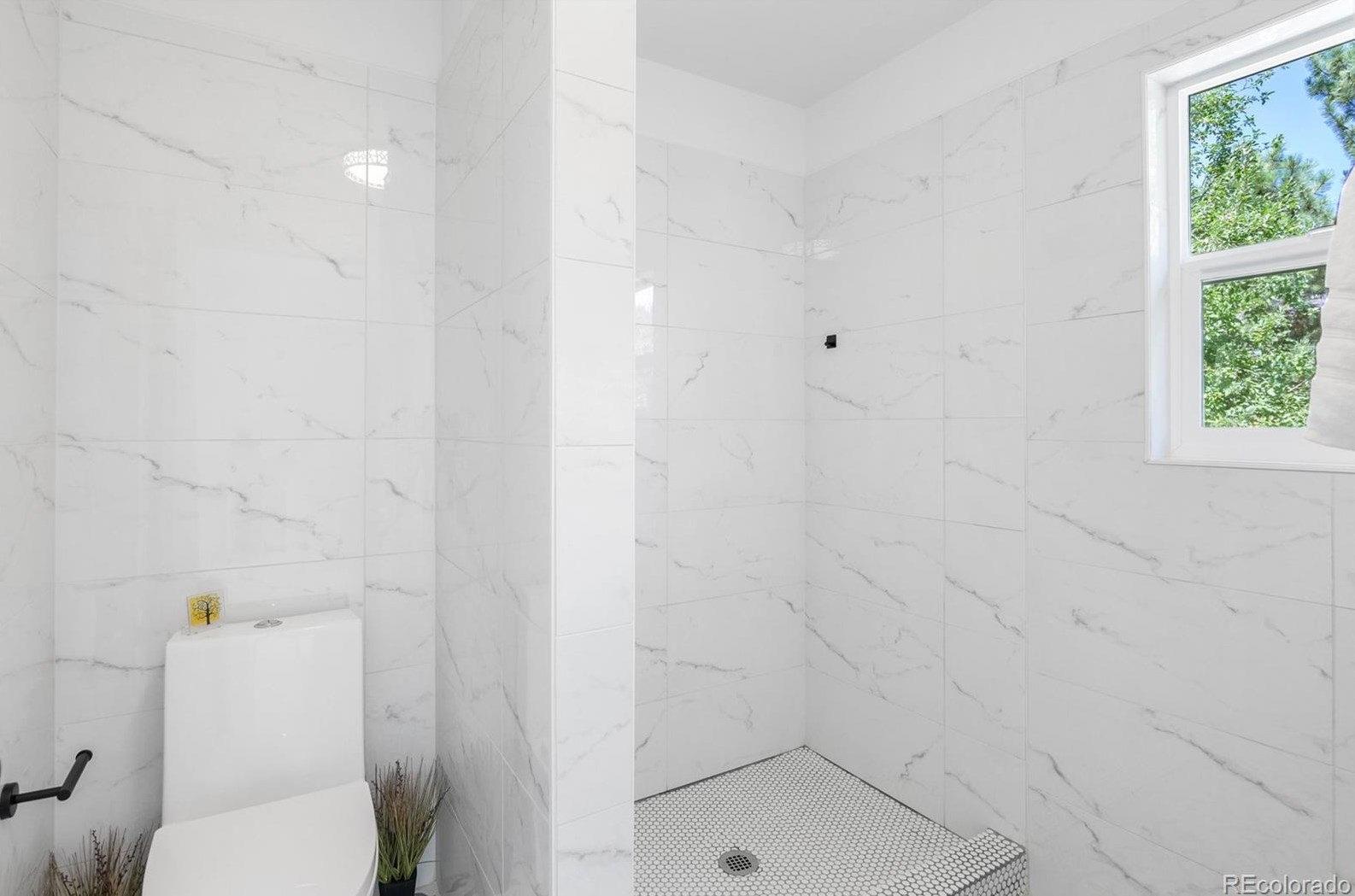 575 Jamison Pl, Littleton CO  80122-2805 exterior