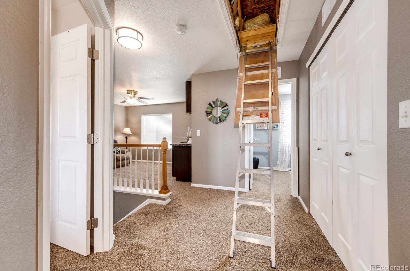 2129 Quartz St, Castle Rock CO 80109-3664 exterior