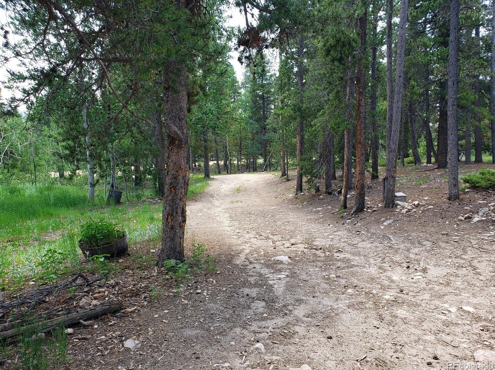 125 Lodge Pole Dr, Arvada CO  80422-8948 exterior